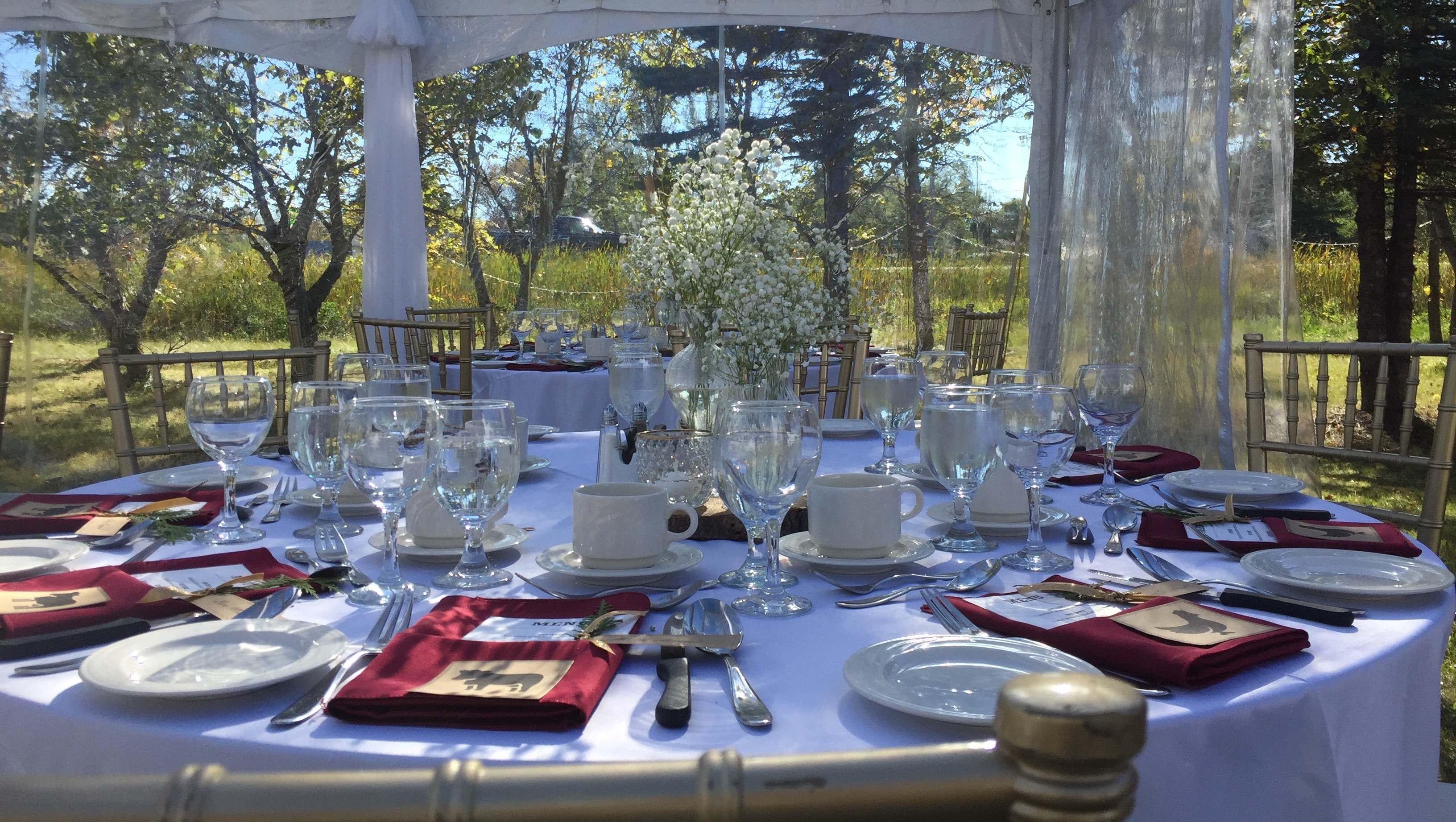 Tenting Accessories D Lite Tent Event